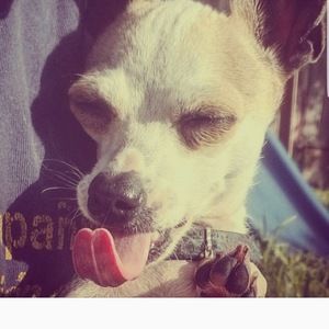 Meet your Posher, Geraldine